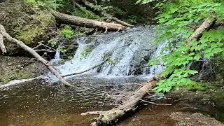 Upper Peninsula Brook Trout Fishing | Michigan Brook Trout