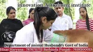 Artificial Insemination Training Expert Institute for Livestock Breeding