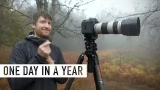 Best Day this Year as a Landscape Photographer