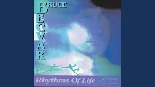 Rhythms Of Life