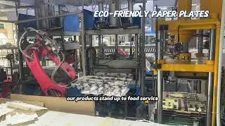 Paper tray/mold/equipment R&D experts. Eco-friendly paper plates, in-h...