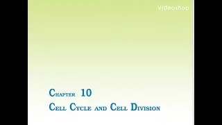 STD 11 th NCERT Biology -  Ch 10 part 1 by Dr. Swati Pandya