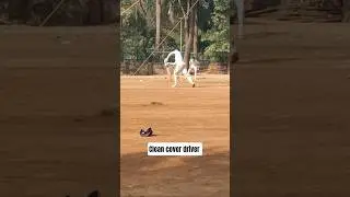clean cover drive shot #viral #artist #coverdrive #viratkohli #sports #cricket #subscribe #tending 👽