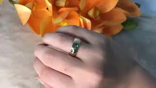 Alian&ccedil;a Ouro 18k Abaulada Plus 8mm 42078