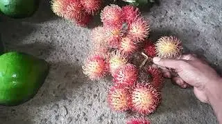 Alpukat mentega dan rambutan manis