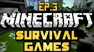 Minecraft SG #3 ITA -  a un passo dalla vittoria ;)