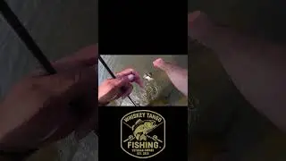 WTF Daily Catch Cam 77 - Crankbait Catch