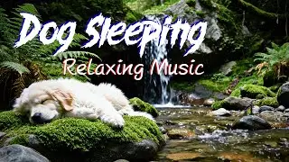Deep Sleep Puppy Soothing Waterfall Sounds for Stress Relief & Meditation