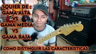 squier gama alta vs gama media vs gama baja