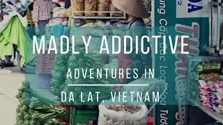 Adventures in Dalat, Vietnam