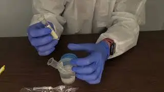 Weekend Clinic Lab Overview