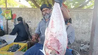Kasimed minnal Raja fishcuttingvideo/chennai fishcutting#fishcuttingskills#fishcutting#rkfishcutting
