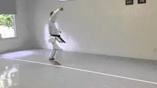 Upward Block, Reverse Punch (back) | IKD Testing Syllabus videos | Shotokan Karate 2013