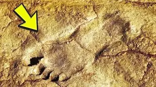 115,000-year-old Human Footprints Found In An Impossibl Location Where They Should Not Be