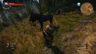 The Witcher 3 Black Horse Glitch