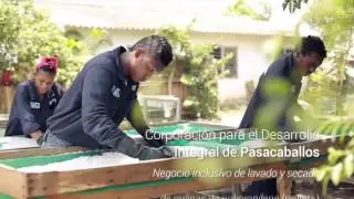 Video institucional Fundación Mamonal