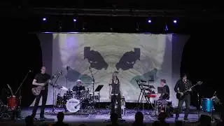 Lead a Normal Life | Security Project (Peter Gabriel cover live 2019)