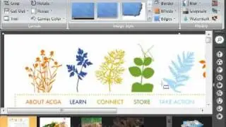 Snagit 9 How to Use Scrolling Webpage Capture