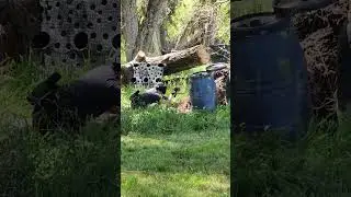 Who Will Find The SNIPER