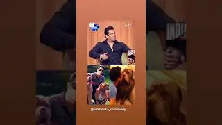 Salman khan dog  lover being human