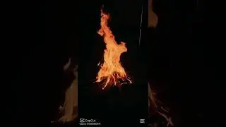 Fresh Fire 🔥 and Anointing #annointed #freshoil #fireoftheholyghost #freshfire #Buildfire 