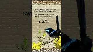 #qaseedaburdasharif #tahirulqadri #newnaat #viralvideo #shortvideo #muftishamailnadwi #debet #reels