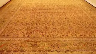 PGNY Antique Carpets & Tapestries - Item # 31251 Antique Persian Sultanabad, 19'0 H x 13'0 W