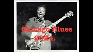 Chicago Blues  Music 🎸: English & Kannada 👅 Edition Deluxe.