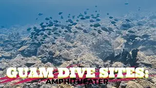 Guam Dive Sites: Amphitheater 