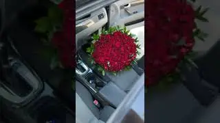 world of flowers