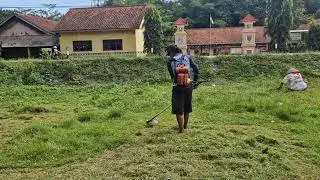 AMAZING FARM TECHNOLOGY: WATCH THIS MACHINE CUT GRASS PERFECTLY! -Agriculture Farming