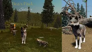 Bea's Pack - Saturn L1 - Raise Pups [WolfQuest Saga]