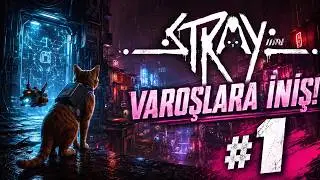#1 | KEDİLİ OYUN | Stray T&uuml;rk&ccedil;e Oynanış | TRAKYALI OYUNDA