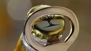 Fever-Tree, Bidfood T&uuml;rkiye'de!
