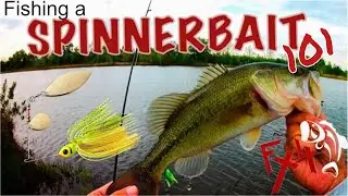 Fx4 &ldquo;Best Bait For Beginners&rdquo; SPINNERBAIT Pond Fishing During A Windy Day