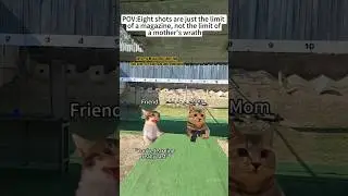 CAT MEMES🐱Eight shots are just the limit of a magazine, not the limit of a mother's wrath