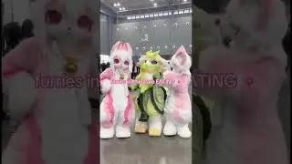 Chinese furries are actually SO CUTE! 💕 #roblox #meme #furry #furrie #funny #pride #mlm #memes #furr