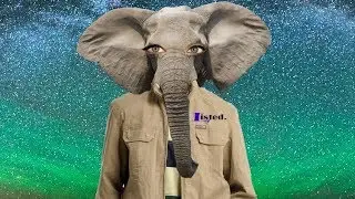 TOP 10 ANIMALS THAT THINK THEY ARE HUMANS (animals acting like humans)