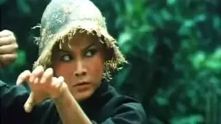 Шесть героев кунг-фу | 1980 (боевик, кунг-фу) фильм целиком