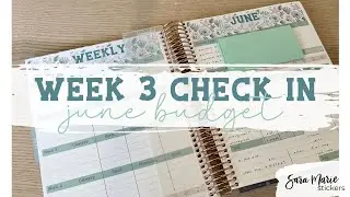 Week 3 Check In | June 2023 Budget | Sara Marie Stickers |