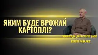 Чому Україна їсть ПОЛЬСЬКУ картоплю, маючи свою? Правда від фермера