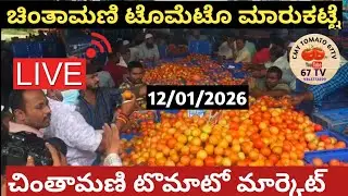 ಚಿಂತಾಮಣಿ ಮಾರುಕಟ್ಟೆ ಟಮೊಟೊ ದರಗಳು/ Chintamani tarakari market today rate #vegetable #ತರಕಾರಿ 12/01/2026