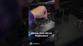 Creating a lead with prophet rev2 and Strymon reverb and delay