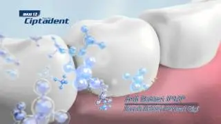 New Ciptadent Maxi 12