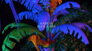 Bianca Mui - Habana (Lyric Video Oficial)