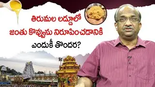 తిరుమల లడ్డూలో జంతు కొవ్వును నిరూపించడానికి ఎందుకీ తొందర? || Hurry To Prove Animal Fat In Laddu ||