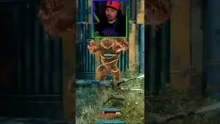 Mogu - 1 Spree - 0