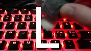 BOB the penguin plays Bedwars