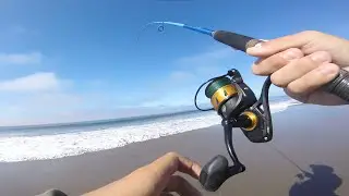 Catch of a LIFETIME while fishing for Jacksmelt! | Fishing In The California Surf