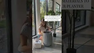 How To Make Your Artificial Plant Look Taller - D&eacute;cors V&eacute;ronneau